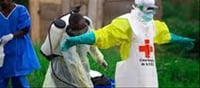 Ebola Death Toll Rises to 80 in Congo